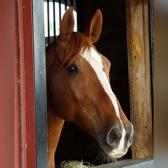 Meet your Posher, Jean - Picture 2 of 3